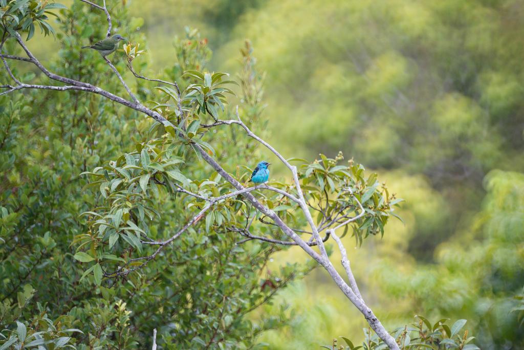 Pousada Mangabeiras Velha Boipeba Exteriér fotografie